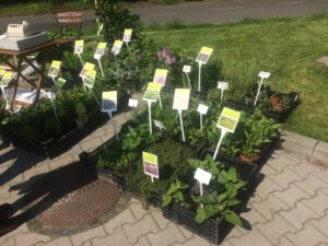 Kiermasz Roślin Ozdobnych / Arena Gliwice 10-11 września 2022 r