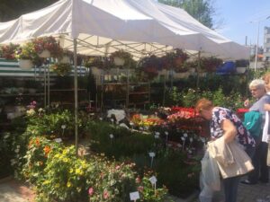 Kiermasz Roślin Ozdobnych / Arena Gliwice 10-11 września 2022 r