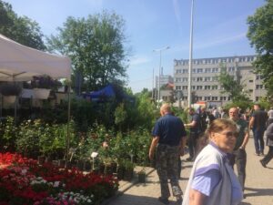 Kiermasz Roślin Ozdobnych / Arena Gliwice 10-11 września 2022 r