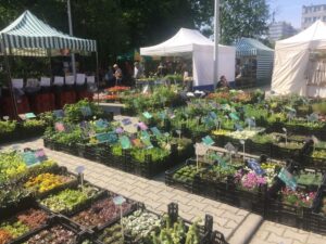 Kiermasz Roślin Ozdobnych / Arena Gliwice 10-11 września 2022 r