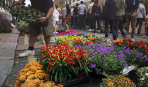 Flower exhbition fair on the street market, multiple colofrul flowers with people walking in the background of the street