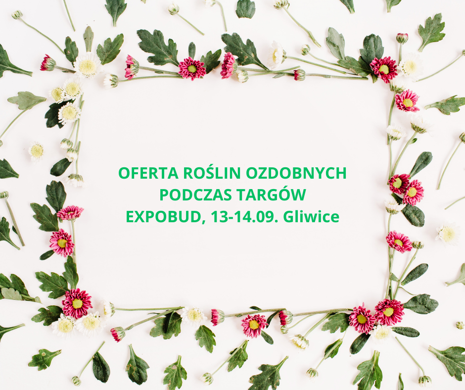 20 Międzynarodowe Targi Budowlane EXPOBUD